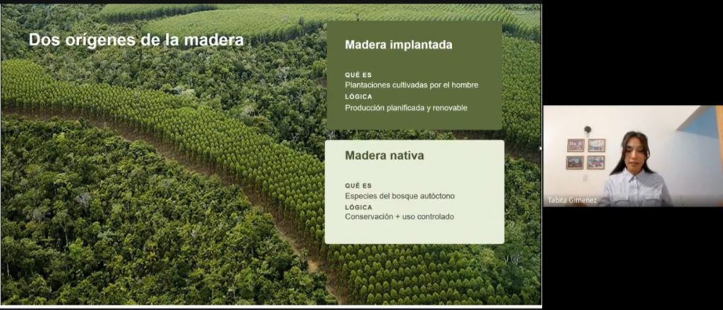 Durante su exposición, Giménez expuso sobre los orígenes de la madera en la foresto industria misionera.